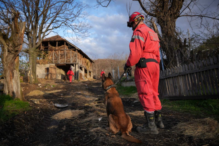 Pas Zigi bio na tragu zločina