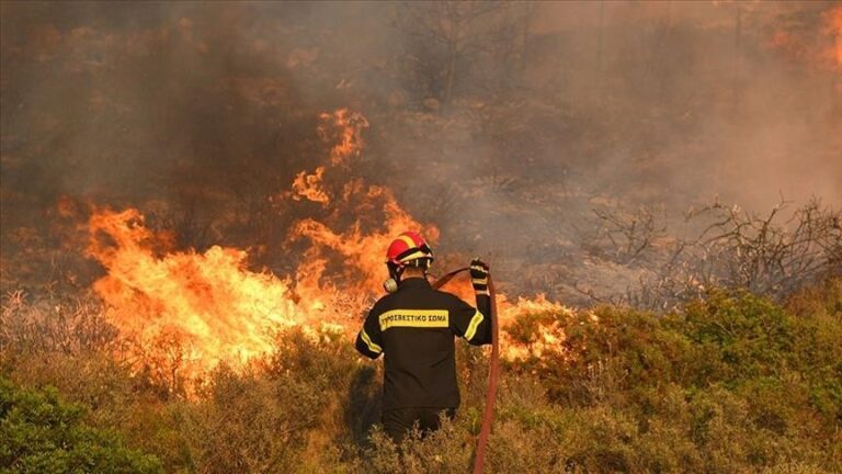 Izbio veliki šumski požar: Vatru gasi 110 vatrogasaca, evakuisan dječiji kamp