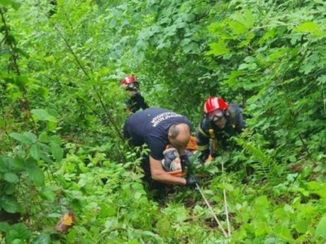 Žena (90) upala u provaliju dok je tražila ovce u selu nadomak Mionice: Hrabri vatrogasci je spasili život