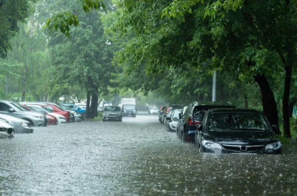 Nevrijeme pogodilo Beograd: Drveće po putu, lete krovovi, a automobili „plove“