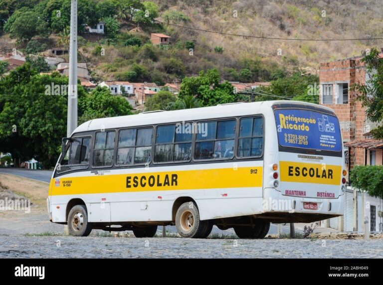 Tragedija u Brazilu: Minibus uletio u masu, poginulo sedam osoba