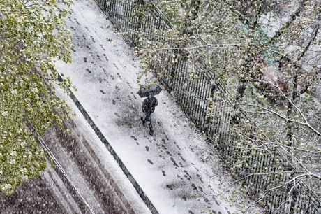 Snijeg pada u Hrvatskoj i Sloveniji: Olujni udari vjetra otežavaju saobraćaj