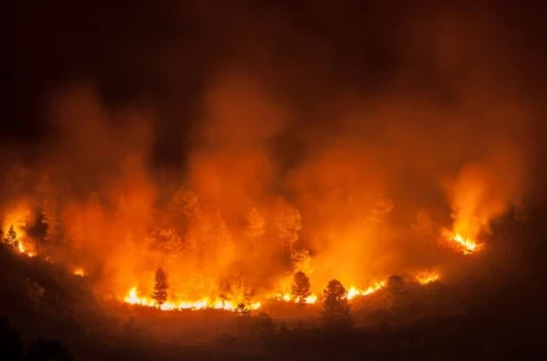 Gori i Bugarska: Proglašeno vanredno stanje; vatrogasci nemoćni