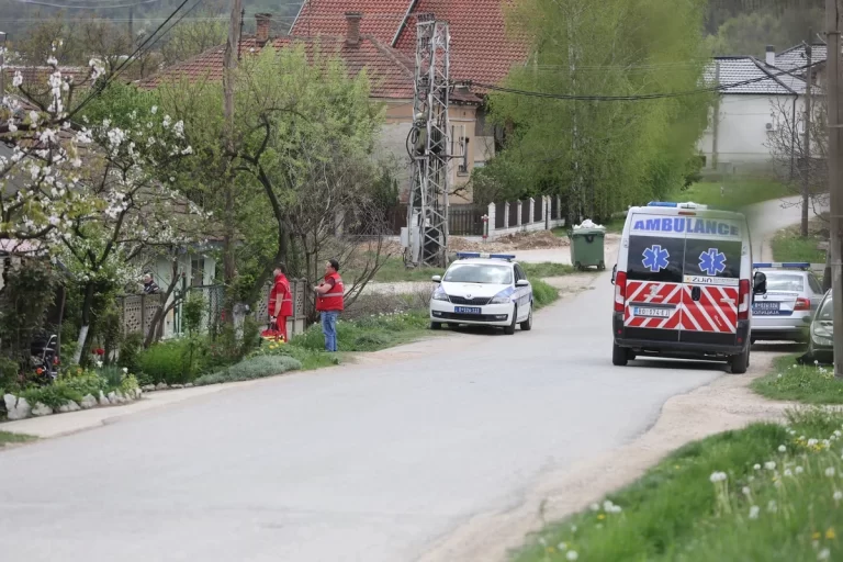 Umro brat osumnjičenog za ubistvo Danke Ilić (2): Preminuo u pritvoru PU Bor