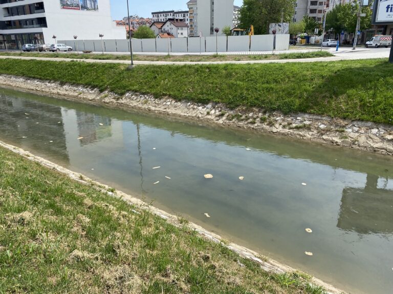 Velike količine hljeba i peciva u kanalu Dašnica: Postoji objašnjenje !!