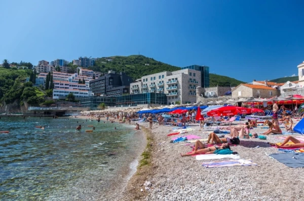 Misteriozno stvorenje na crnogorskoj plaži: „Ne smijete ni da ga dotaknete, a njegov ujed izaziva bolove“ FOTO