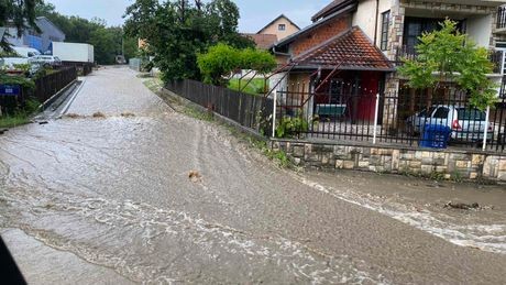 Nevrijeme  napravilo haos, potpuni kolaps kod Sevojna: Oluja obarala drveće kod Zlatibora, putevi poplavljeni