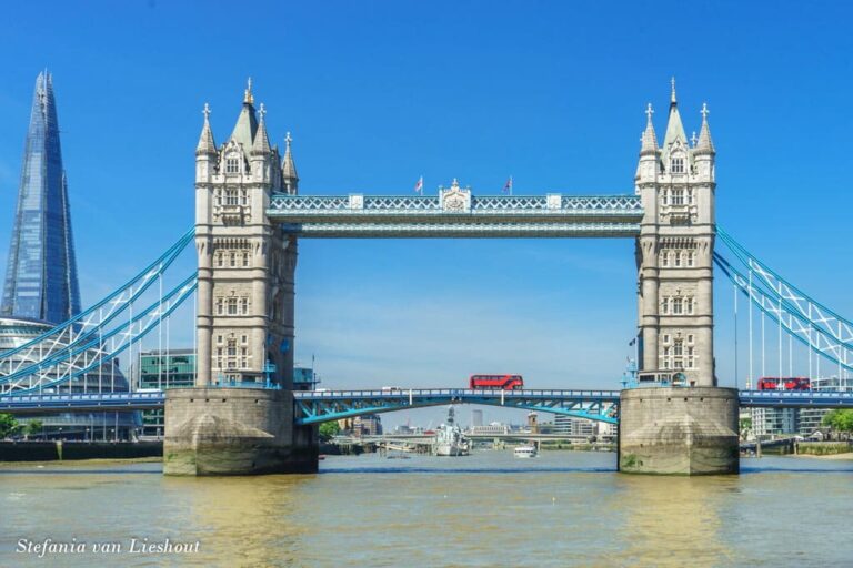 Dječak ubijen mučki u Londonu