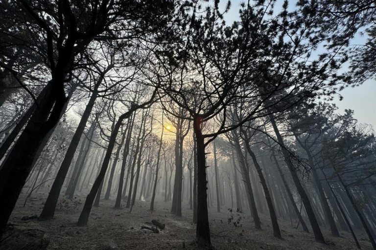 Apokaliptične scene iz Dalmacije: Ovako izgleda Park prirode Biokovo nakon požara