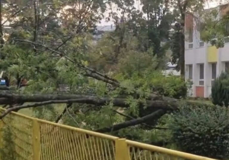 Posljedice olujnog nevremena u Banjaluci