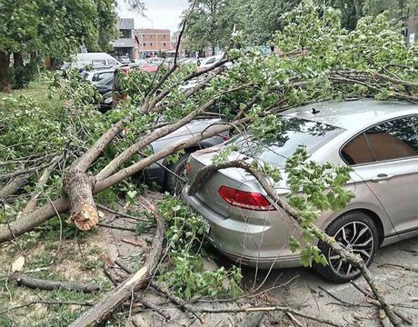 Nevrijeme pogodilo Vrnjačku Banju: Rušilo i drveće, grane padale po vozilima