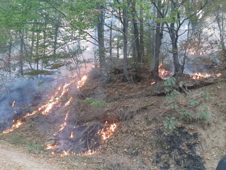 Rasplamsao se požar koji je juče izbio na Majevici: Očekuje se pomoć vatrogasaca iz Bijeljine i Zvornika