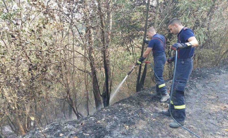 Požar na Majevici lokalizovan i pod kontrolom