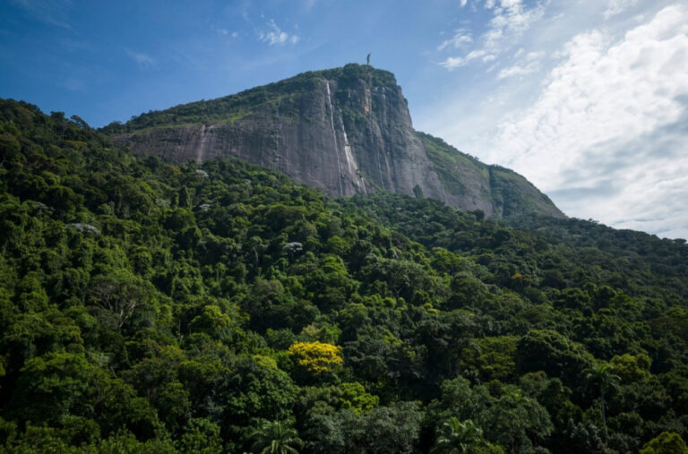 Neuhvatljivo planinsko stvorenje pronađeno u Brazilu FOTO