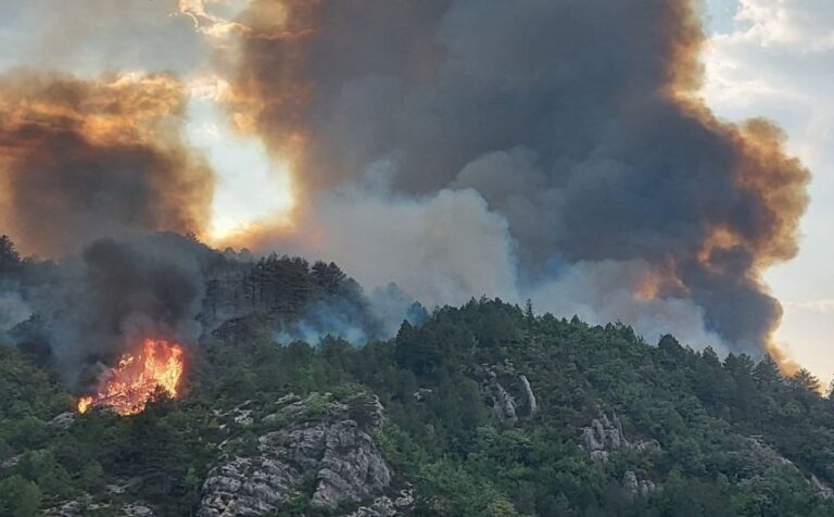 Mnogo manje požara u Hercegovini ove godine, građani poštovali mjere