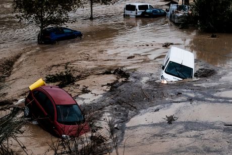 Samo dvije riječi: Katastrofa, neopisivo! FOTO