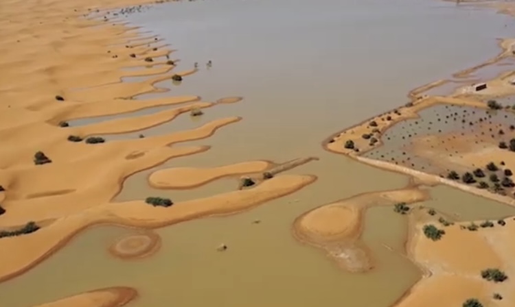 Poplave pogodile i Saharu: Jezero koje je bilo suvo 50 godina napunilo se vodom FOTO