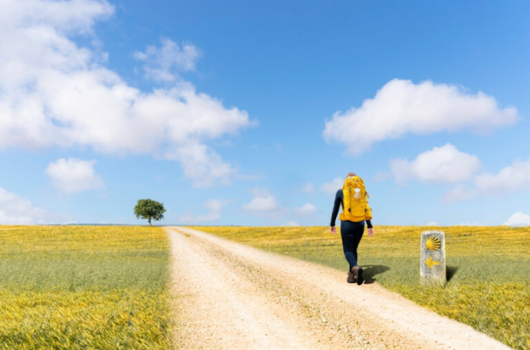 Pešačio 120 km i napravio najveći GPS crtež muškog polnog organa  FOTO