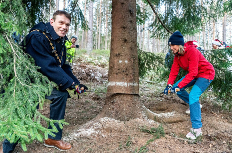 „Veličanstvena“ Božićna jelka na Trafalgar skveru je pala