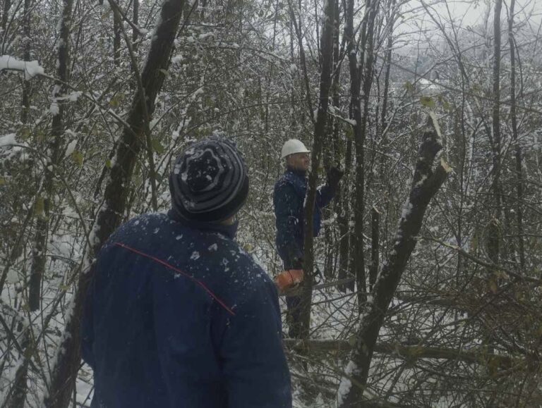 Radnici Elektro Bijeljine saniraju posljedice brojnih kvarova posle jučerašnjeg nevremena