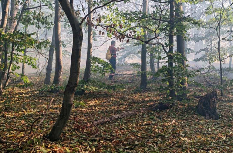 Park prirode „Veliki Jastrebac“ proglašen za zaštićeno područje