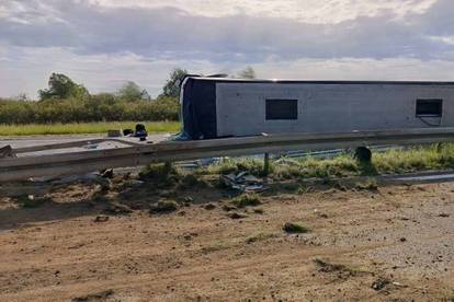 Srna uzrok teške saobraćajne nesreće sa smrtnim posljedicama u Hrvatskoj: Učestvovao autobus iz BiH