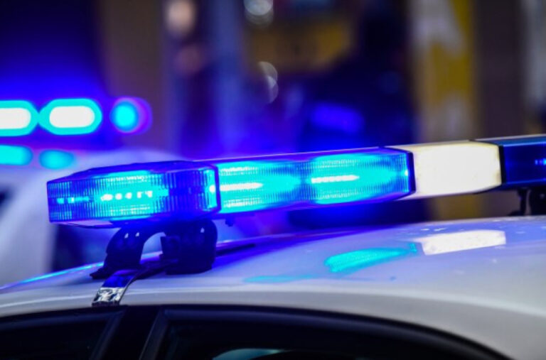Užas u Svrljigu: Muškarac nožem ubio psa, pa ga bacio u bazen