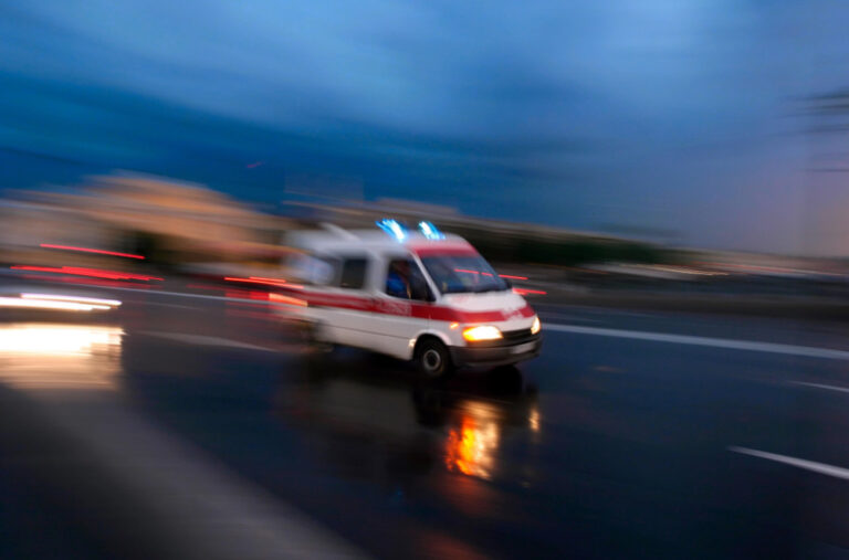 Horor na Fruškoj Gori: Psi rastrgli ženu