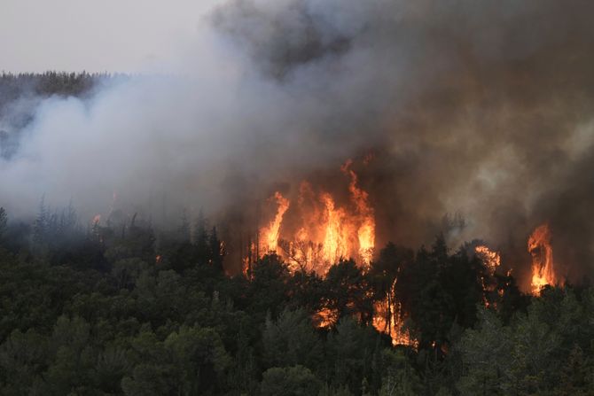 Prva žrtva požara u Srbiji: Proglašena vanredna situacija: Sve ekipe na terenu, vojska se uključila FOTO/VIDEO