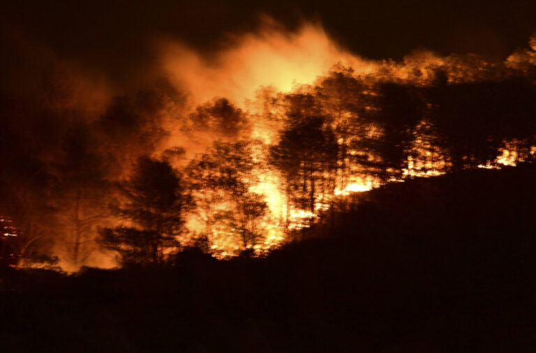 Vatra guta sve pred sobom: Sela izgorjela, ljudi evakuisani, putevi zatvoreni FOTO/VIDEO