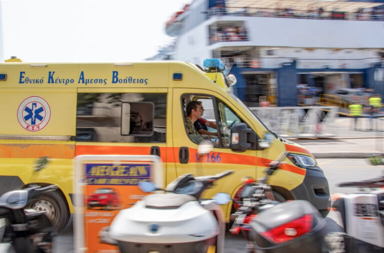Vuk ugrizao djete na plaži? Jeziv incident u Srbima omiljenom ljetovalištu FOTO