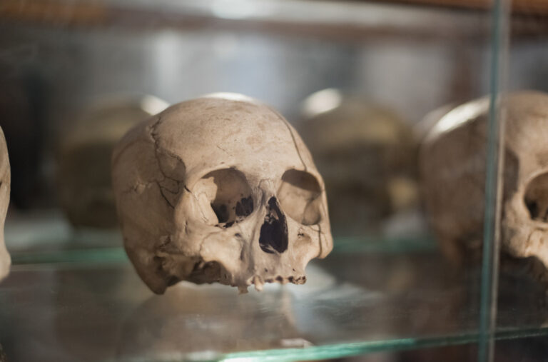 Rješena misterija vitrine sa ljudskim kostima starim više od hiljadu godina FOTO