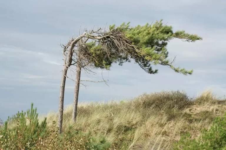 Upozorenje na jak olujni vjetar u Krajini