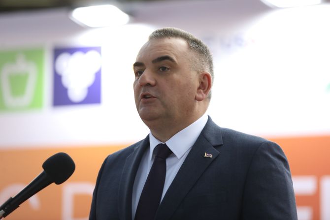 Ustavni sud BiH odlučuje da li je izbor Save Minića i članova Vlade RS bio ustavan