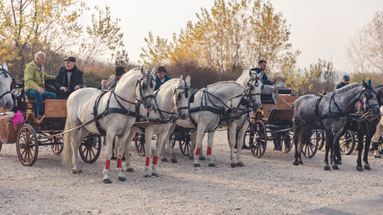 AD Grad Bijeljina domaćin mitrovdanskog saborovanja: Tradicija, muzika i sembersko gostoprimsto