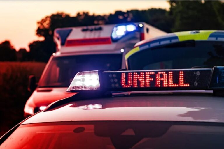 Kamiondžija iz BiH nogom “nokautirao” njemačkog policajca