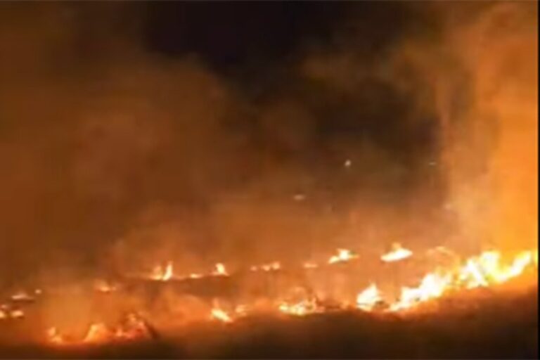 Gorjelo nisko rastinje u Gacku, objekti spaseni u zadnji čas