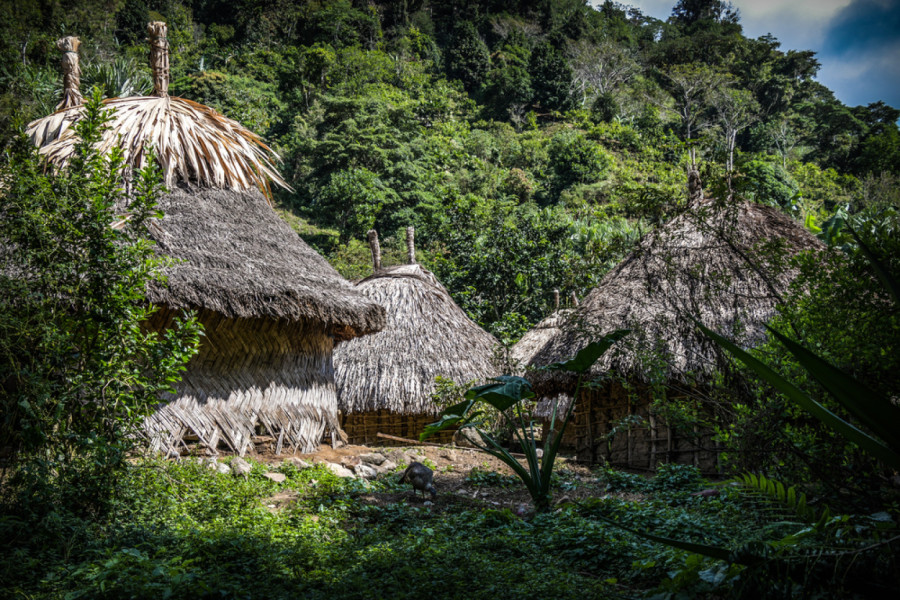 Ovo pleme je nakon 500 godina izašlo iz izolacije: Upozorili su svet na veliku opasnost