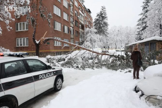 Užas u BiH: Palo drvo na ženu, umrla u bolnici