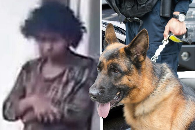 Tragičan kraj potrage: Pronađeno tijelo djevojke nestale kod Merošine